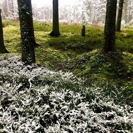 Penzion Kilian - Apartman Prenet Kvilda Bagian luar foto