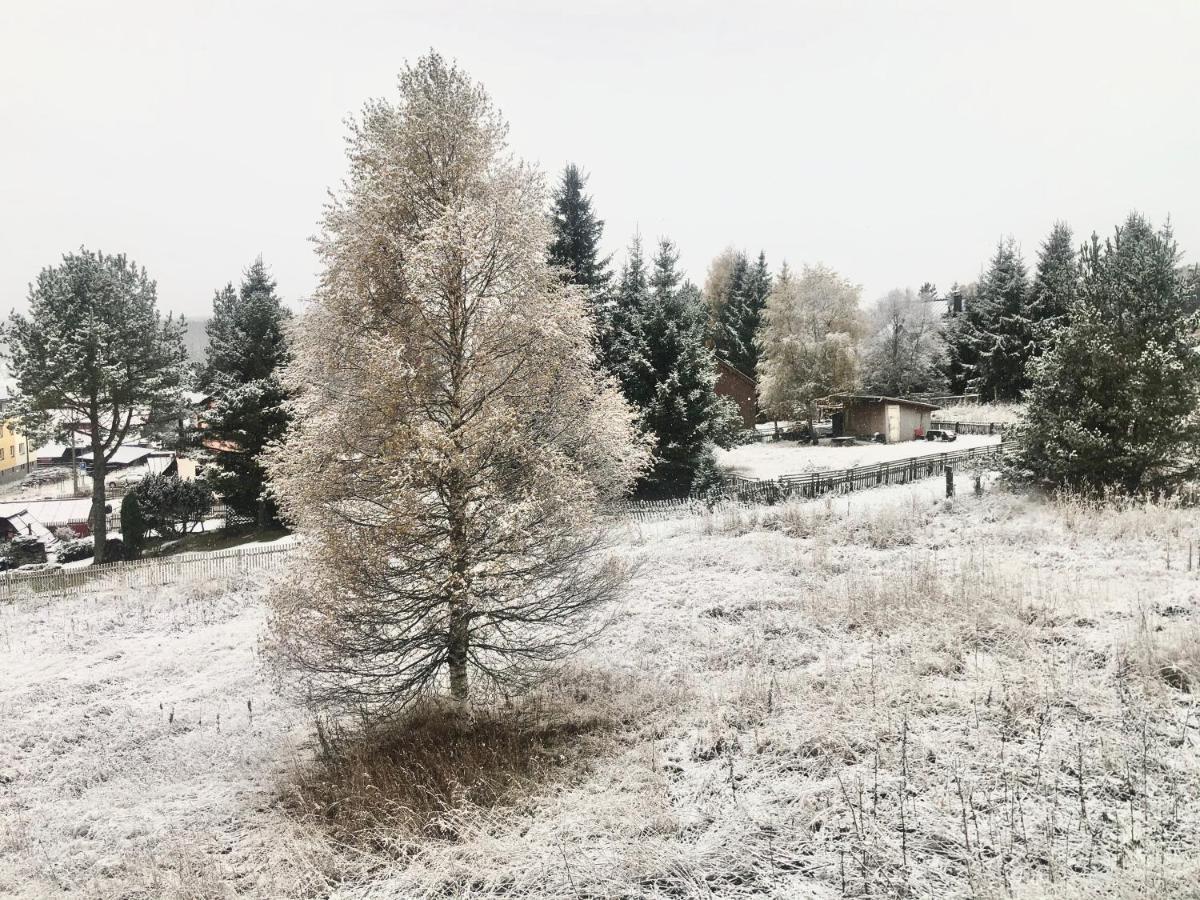 Penzion Kilian - Apartman Prenet Kvilda Bagian luar foto