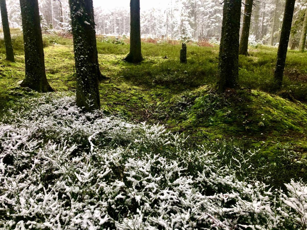 Penzion Kilian - Apartman Prenet Kvilda Bagian luar foto